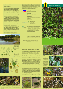 Bültsee und Umgebung - Natur und Umweltinformationssystem