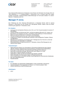 Stellenbeschreibung - Manager IT 2014-08