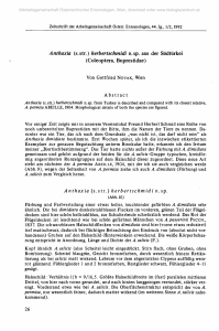 Anthaxia (s.str.) herbertschmidi n.sp. aus der S&uuml;dt&uuml;rkei