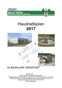 Haushaltsplan Stadt Buchen (Odenwald) 2017