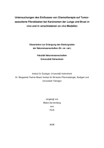 Maike Sonnenberg_Dissertation - OPUS-Datenbank