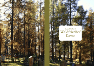 Waldfriedhof Davos - René Furer Architektur Hefte