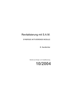 Revitalisierung mit SAM - Nachhaltig Wirtschaften