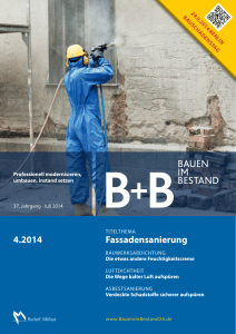 Fassadensanierung 4.2014