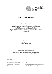 diplomarbeit