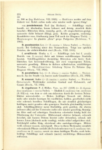 ca. 900 m (leg. Rohlena, VII. 1903). — Rohlena merkte auf dem