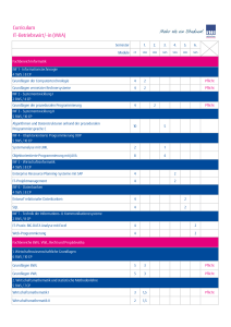 Curriculum IT-Betriebswirt/