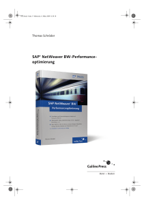 SAP NetWeaver BW-Performanceoptimierung