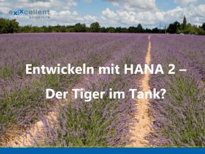 Entwickeln mit der HANA 2 - Der Tiger im Tank?