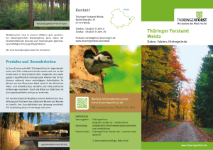 Thüringer Forstamt Weida