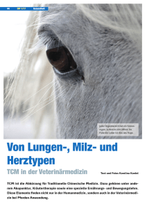 Von Lungen-, Milz- und Herztypen