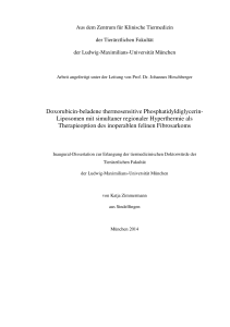 Doxorubicin-beladene thermosensitive Phosphatidyldiglycerin