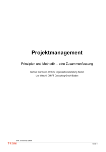 Projektmanagement - Drift Consulting GmbH