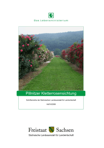 Schriftenreihe 8/2008 - Pillnitzer - Publikationen