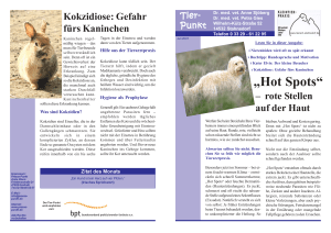 Ausgabe März - Kleintierpraxis Sjöberg und Gies Stahnsdorf