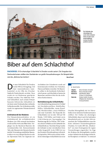 Biberschwanzziegel und Denkmalschutz-Dachsanierung mit