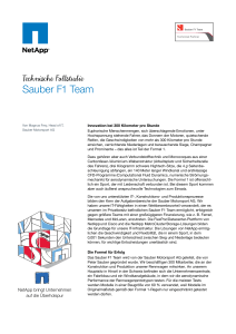 Sauber F1 Team - NetApp Schweiz