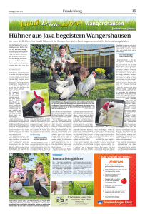 Hühner aus Java begeistern Wangershausen