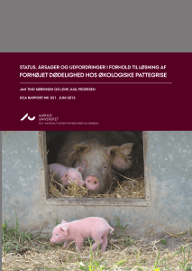 forh&oslash;jet d&oslash;delighed hos &oslash;kologiske pattegrise - DCA