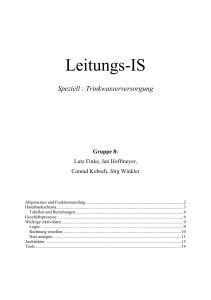 Leitungs-IS