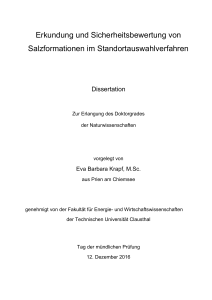 Erkundung und Sicherheitsbewertung von Salzformationen