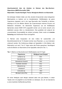 Biologische Bleiche von Baumwolle