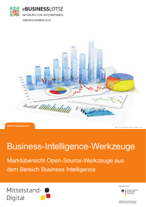 Business-Intelligence-Werkzeuge - eBusiness