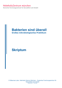 Bakterien sind &uuml;berall Skriptum