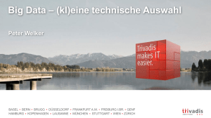 Big Data &ndash; eine technische Auswahl