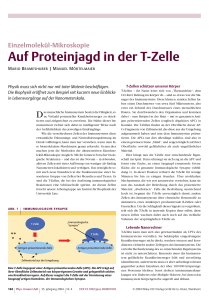 Auf Proteinjagd in der T-Zelle - Wiley-VCH