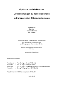 Optische und elektrische Untersuchungen zu