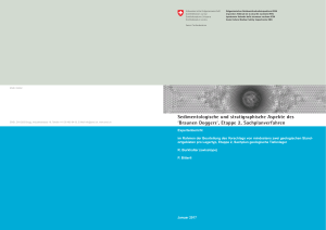 Sedimentologische und stratigraphische Aspekte des `Braunen