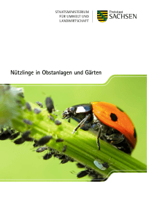Nützlinge in Obstanlagen und Gärten - Publikationen
