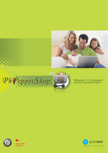 Webshop / E-Commerce einfach, professionell