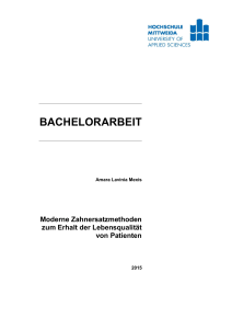 bachelorarbeit - MOnAMi