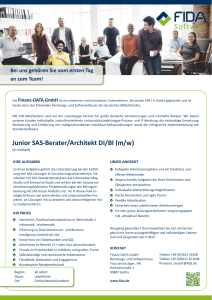 Junior SAS-Berater/Architekt DI/BI (m/w) - Finanz