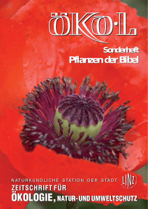 Pflanzen der Bibel