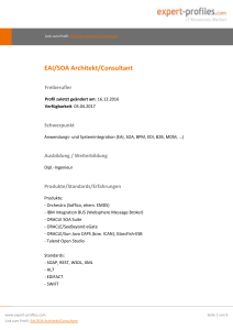 expert-profiles.com: EAI/SOA Architekt/Consultant