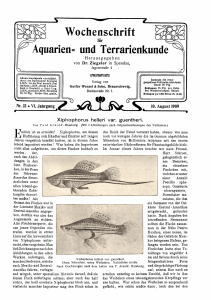 Wochenschrift Aquarien» und Terrarienkunde
