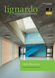 Hybridbauten - Holzbau Henz