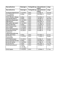 Bauma&szlig;nahme Baubeginn Fertigstellung Gesamtkosten Bund