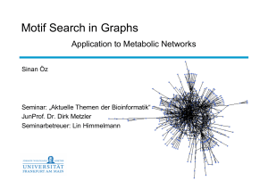 Motif Search in Graphs