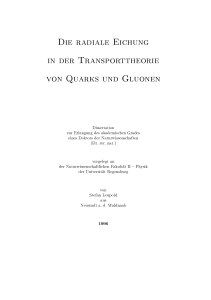 Die radiale Eichung in der Transporttheorie von Quarks und Gluonen