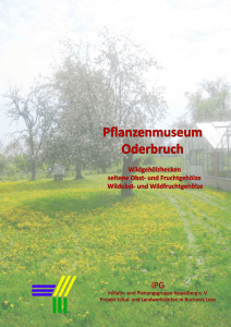 Pflanzenmuseum Oderbruch