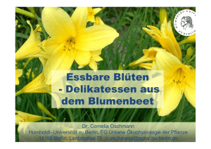 Essbare Bl&uuml;ten