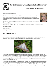 Tipps gegen den Buchsbaumzünsler