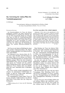 Zur Auswertung der venösen Phase des