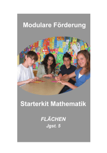 Starterkit-Fl&auml;chen_&Uuml;berarbeitung 2011