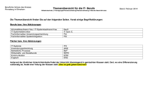 Themenverteilung IT-Berufe Stand 2014