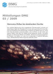 Mitteilungen DMG 03 / 2009 - Helmholtz